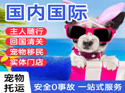 武汉航空运输国际宠物托运 【国